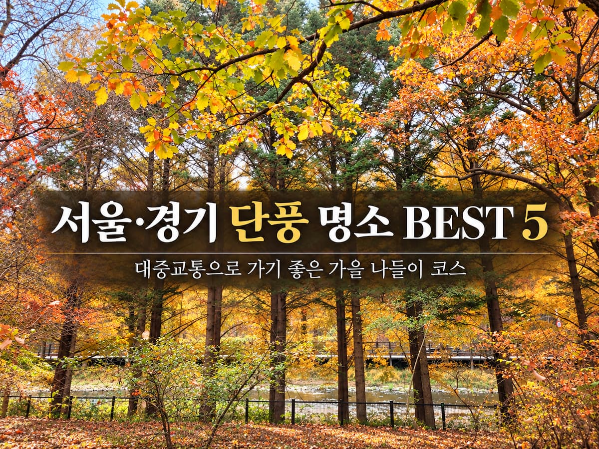 서울·경기 단풍 명소 BEST 5｜대중교통으로 가기 좋은 가을 나들이 코스