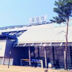 충청북도 장서는 날 정리 | 일자별 5일장 장날표 및 특산물 총정리