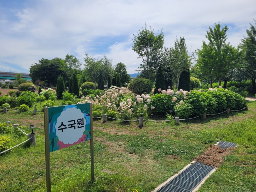 구리한강시민공원 수국원