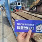 해운대 블루라인파크 해변열차 완벽 가이드 – 예약 방법, 운행시간, 정거장별 볼거리 총정리