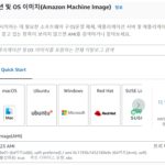 AWS EC2에서 root 계정 활성화 및 권한 전환 방법 (ec2-user → root)