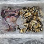네이버 농라 카페 각굴 3kg + 가리비 2kg 후기 | 제철 해산물 찜 만드는 법