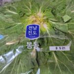 봄동무침 레시피 | 고기랑 먹기 최고, 냉동삼겹살 수육과 잘 어울리는 집밥 반찬