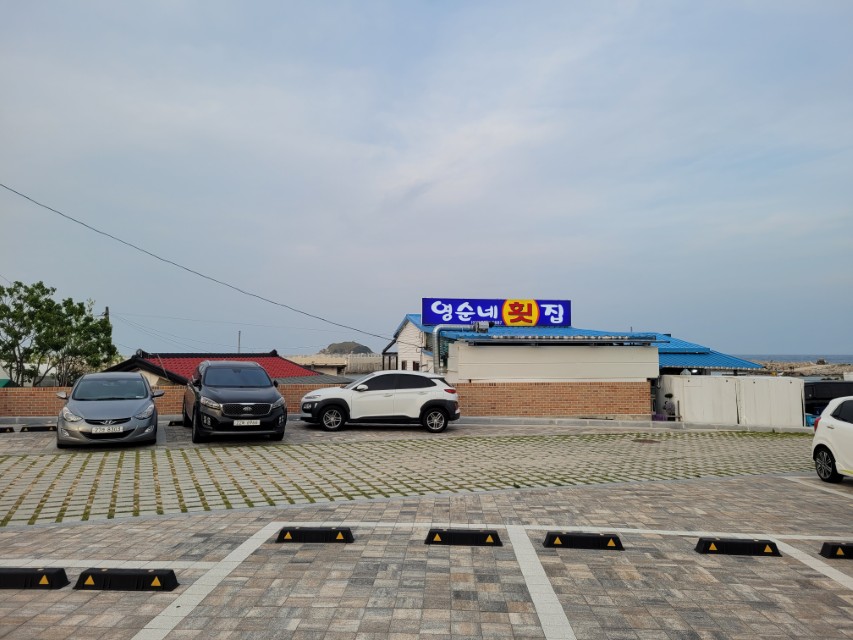 강원도 고성 봉포항 맛집 영순네횟집 모둠회 후기 바다 앞 횟집 7