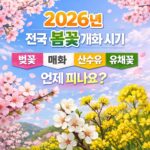 2026 전국 봄꽃 개화 시기 총정리, 지역별 벚꽃·매화·유채꽃 일정 한눈에