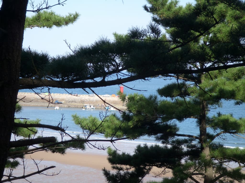 봄 기력 회복에 좋은 태안 도다리 여행, 쑥향 가득한 제철 한 상 (태안 세계튤립꽃박람회 정보) 3