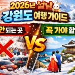 2026년 설날 강원도 여행 가이드|2월 설 연휴, 가면 안 되는 곳과 꼭 가야 할 곳