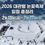 2026 대관령 눈꽃축제 일정 총정리｜알몸마라톤·체험·맛집까지 완벽 가이드