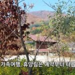 2월 수도권 가족여행 자연휴양림 TOP 5｜예약 방식까지 고려한 실제 추천