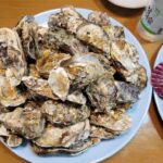 겨울이 오면 가장 먼저 떠오르는 제철 바다 한 상: 굴·꼬막·골뱅이·가리비 총정리