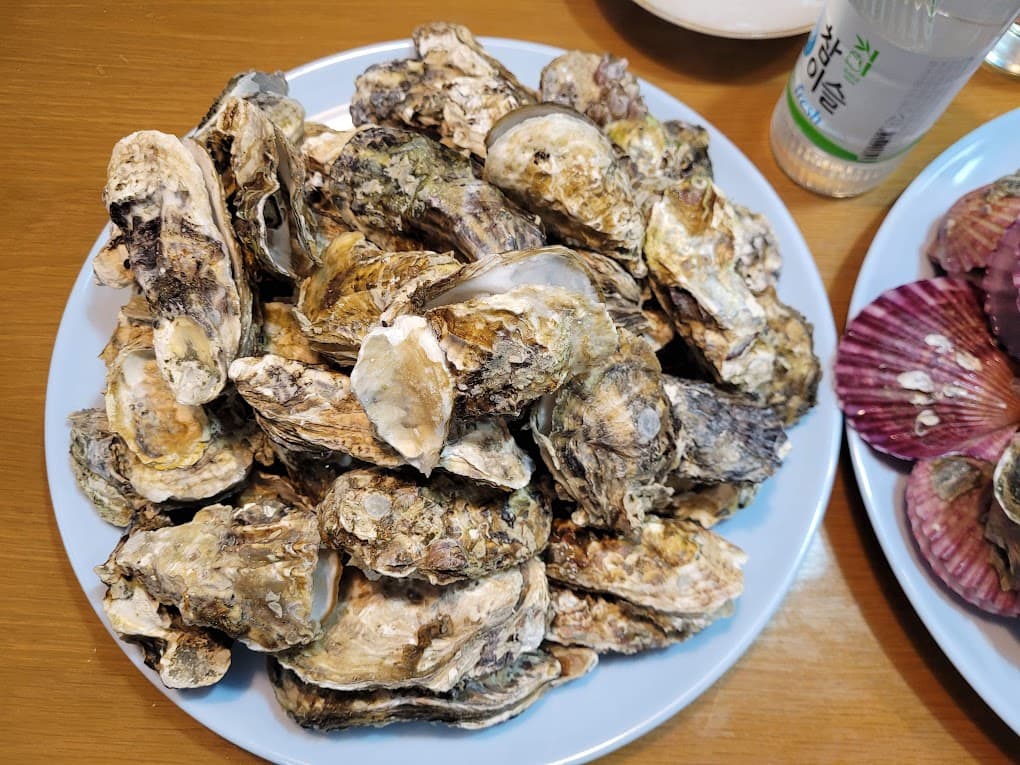 겨울이 오면 가장 먼저 떠오르는 제철 바다 한 상: 굴·꼬막·골뱅이·가리비 총정리