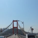 남도 봄꽃로드 여행기｜남해 벚꽃 드라이브와 이순신의 발자취, 그리고 멸치쌈밥