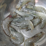 그때 그 맛! 베트남 무이네 새우꼬치구이, 구이바다로 집에서 완벽 재현 (제철 새우 직화구이 꿀팁 & 맛있게 먹는 법 총정리)