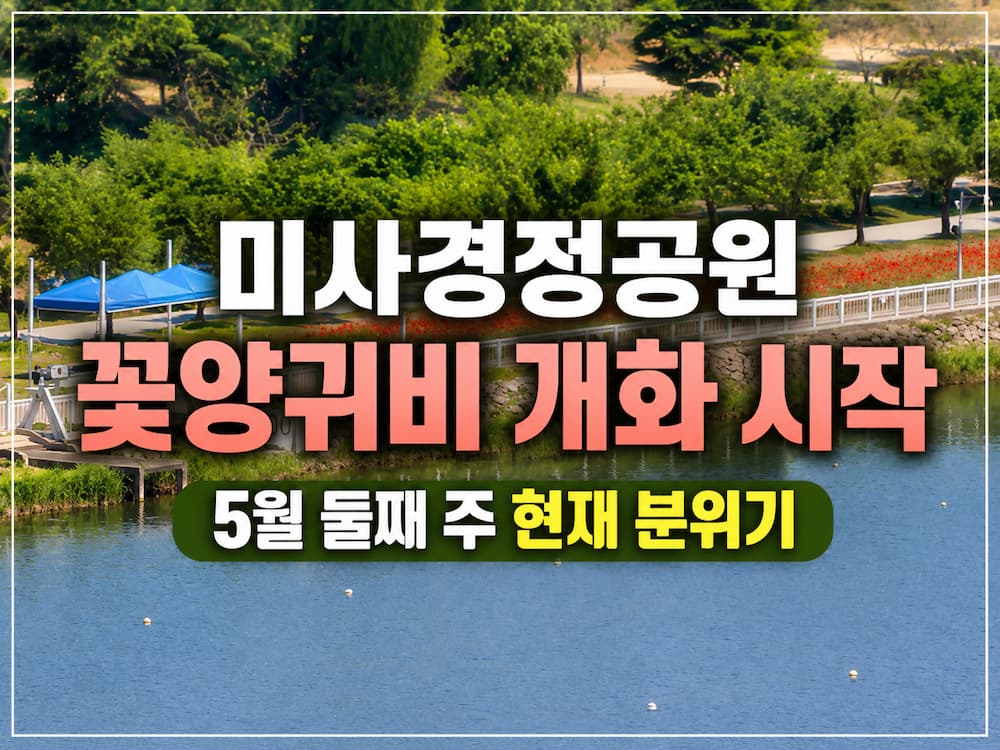 2026 미사경정공원 꽃양귀비 만개｜직접 다녀온 현재 분위기와 올해 달라진 점 6