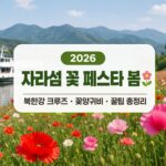 2026 자라섬 꽃 페스타 봄|북한강 크루즈부터 꽃양귀비까지, 방문 전 꼭 볼 포인트
