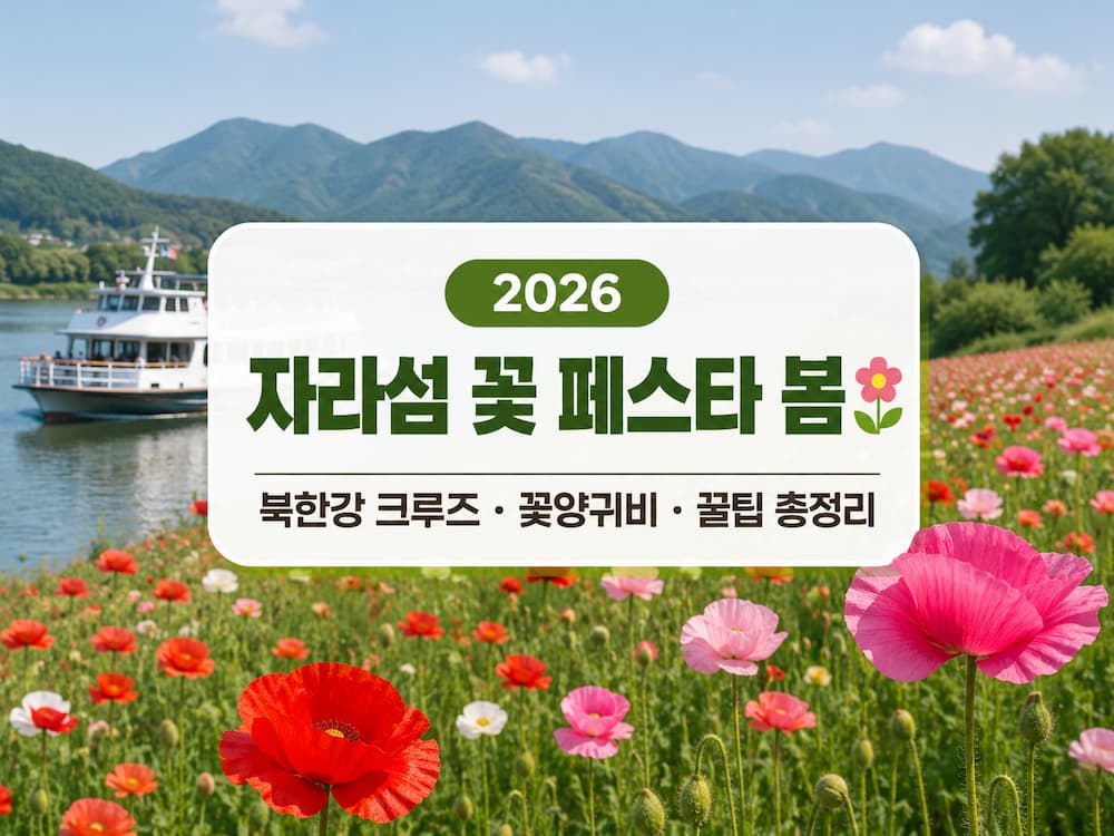 2026 자라섬 꽃 페스타 봄｜북한강 크루즈부터 꽃양귀비까지, 방문 전 꼭 볼 포인트 9