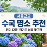 경기도 수국 명소 4곳|서울근교 여름 꽃구경 구리한강시민공원·율봄식물원·아침고요수목원·화담숲