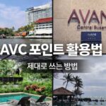 아난타라 베케이션 클럽(AVC) 포인트 활용법 총정리|부산·푸켓·방콕·무이네 실제 사용 기준