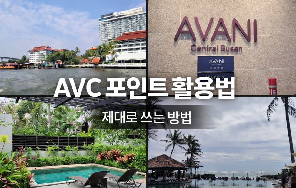 아난타라 베케이션 클럽(AVC) 포인트 활용법 총정리｜부산·푸켓·방콕·무이네 실제 사용 기준 6