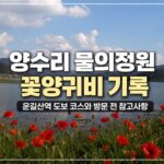 2026 물의정원 꽃양귀비 개화 시기, 지금 가도 좋은 이유와 양수리 두물머리 방문 꿀팁