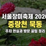 서울장미축제 2026 일정·라인업 총정리|중랑천 묵동 장미길 주차·혼잡·방문 꿀팁