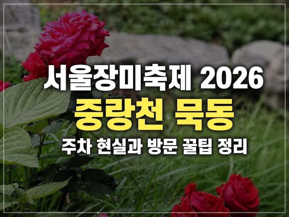 서울장미축제 2026 일정·라인업 총정리｜중랑천 묵동 장미길 주차·혼잡·방문 꿀팁