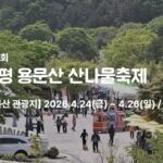용문산 산나물 축제 대중교통 가는 법｜전철·기차·시외버스 비교 (편하게 가는 방법)