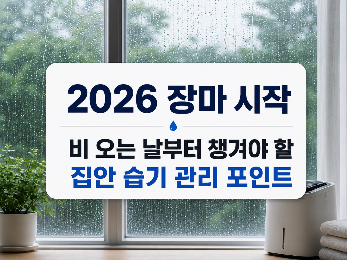 2026 장마철 필수 확인, 날씨 예보보다 100배 중요한 습기 관리법