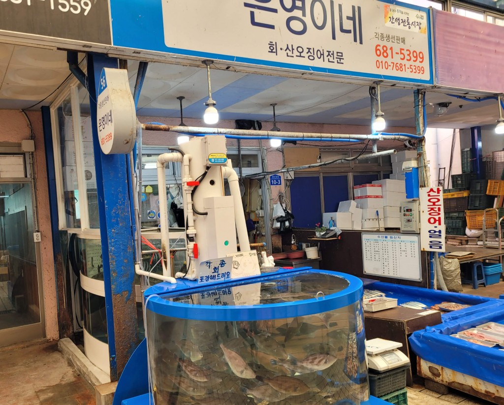 은영이네 전경