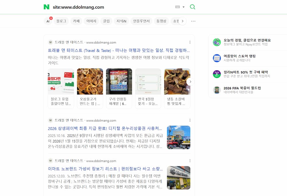 네이버 site 검색에서 www.ddolmang.com 워드프레스 개인도메인 글이 색인된 화면