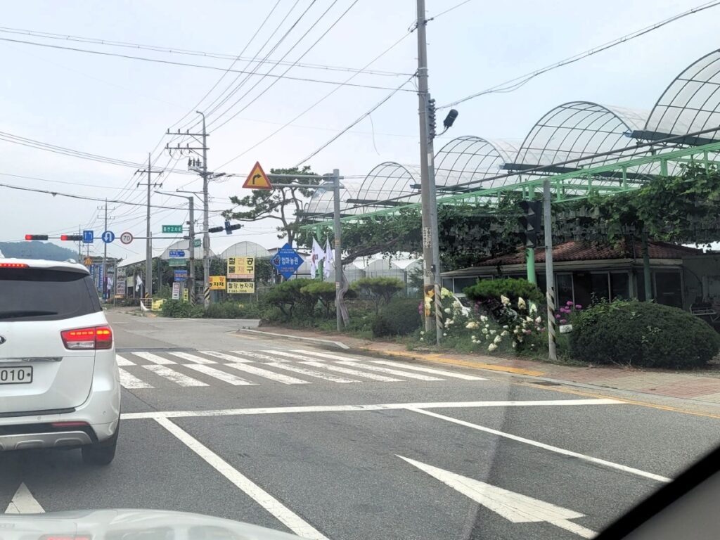 천안에서 태안 안면도로 이동하며 지나간 예산 방향 도로