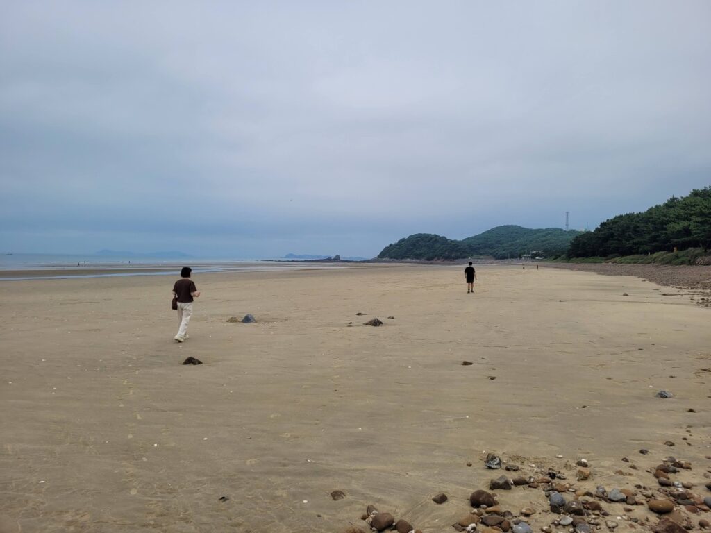 흐린 날 안면도 밧개해변 백사장을 걷는 가족의 뒷모습