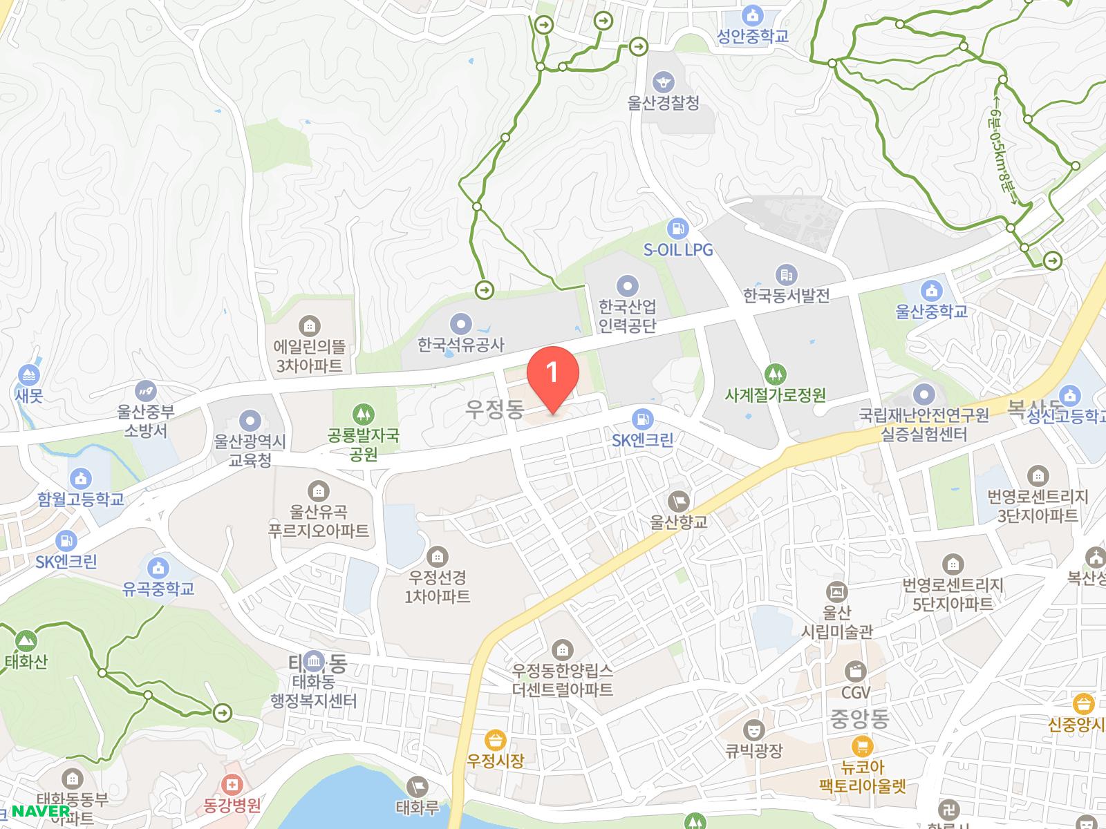 올생선구이 네이버 지도 위치