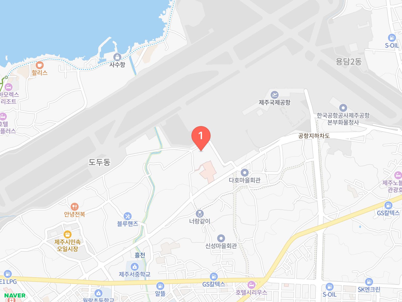 제주 도도리고기국수 네이버 지도 위치