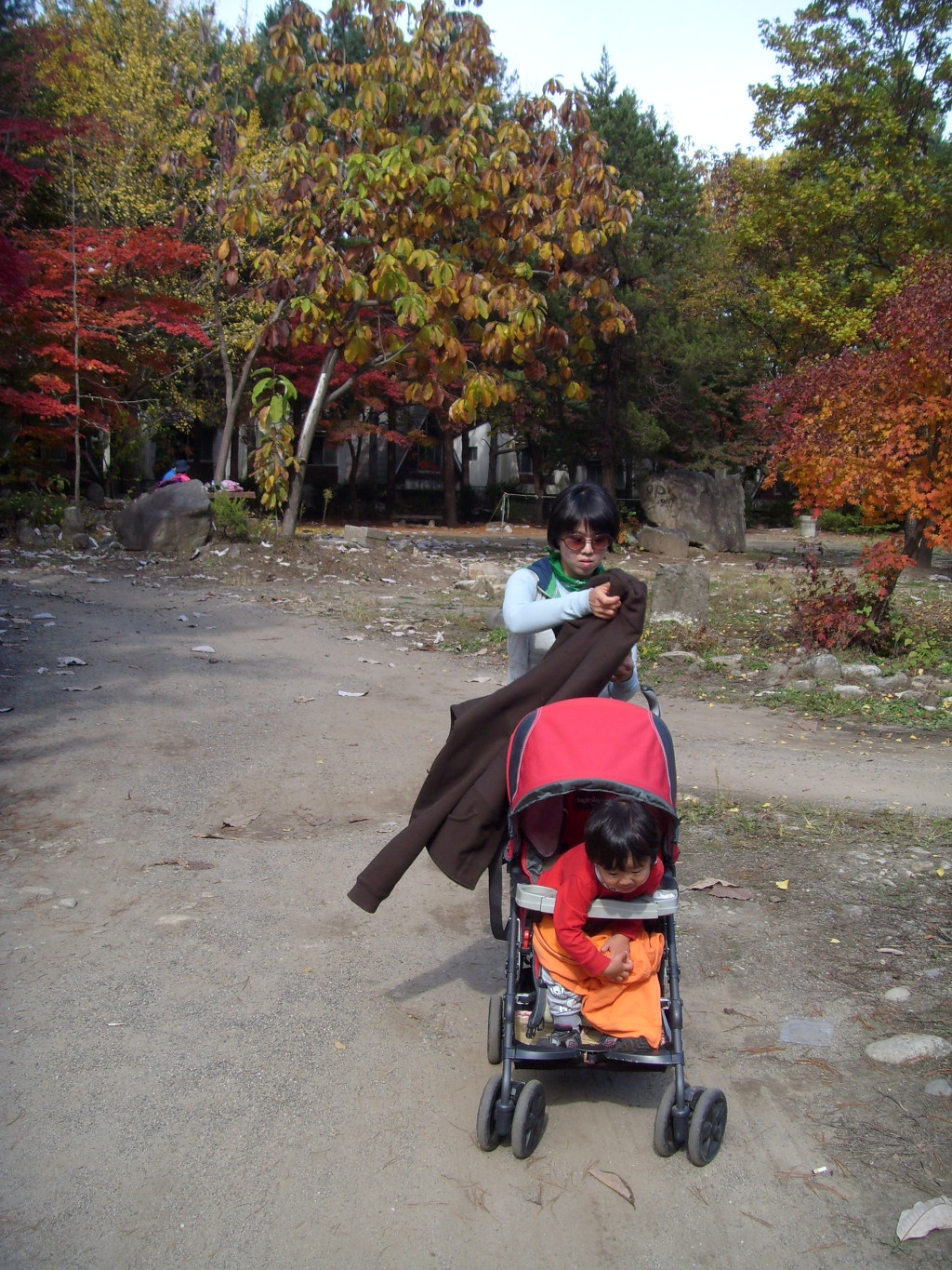 선글라스 성인, 유모차 아이, 가을 단풍 숲길 산책