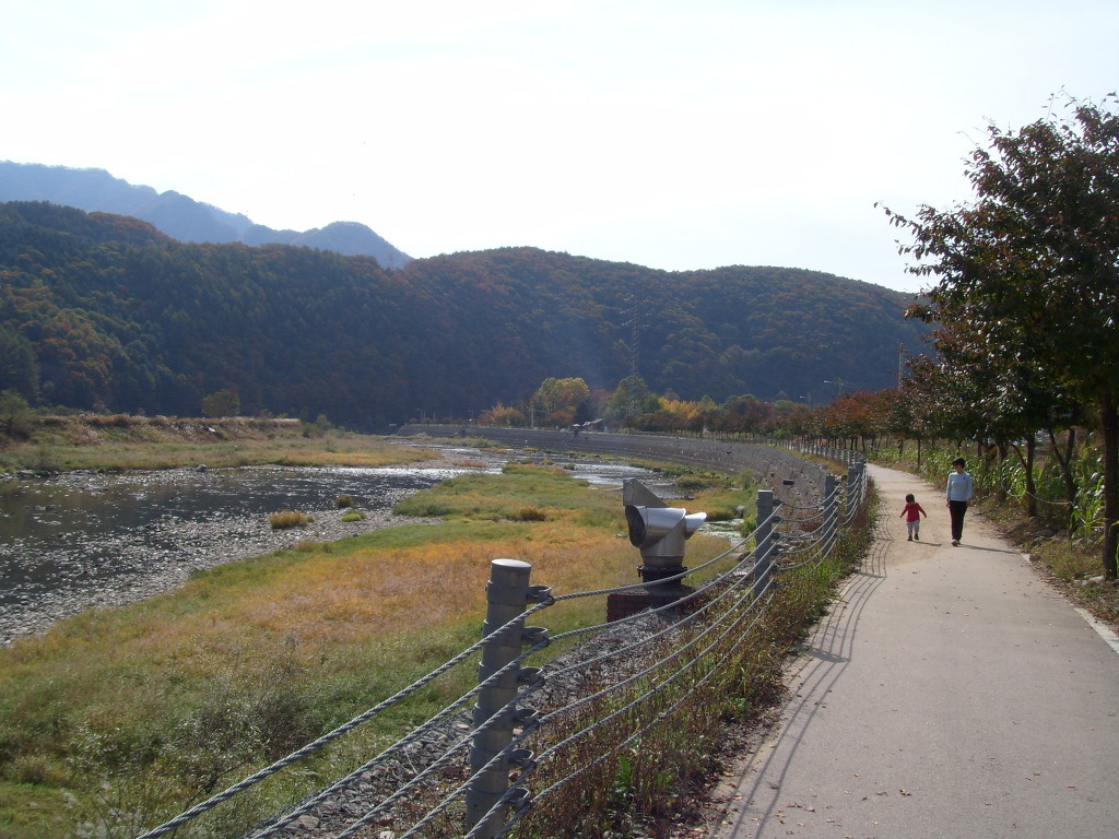 가을 강변 산책로 걷는 어른과 아이, 숲 덮인 산