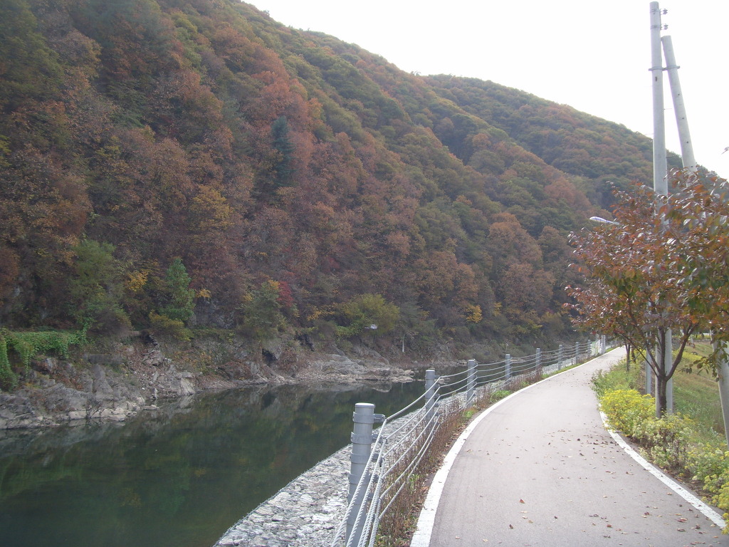 단풍 산, 구불구불한 강변 산책로, 가로등 줄지어