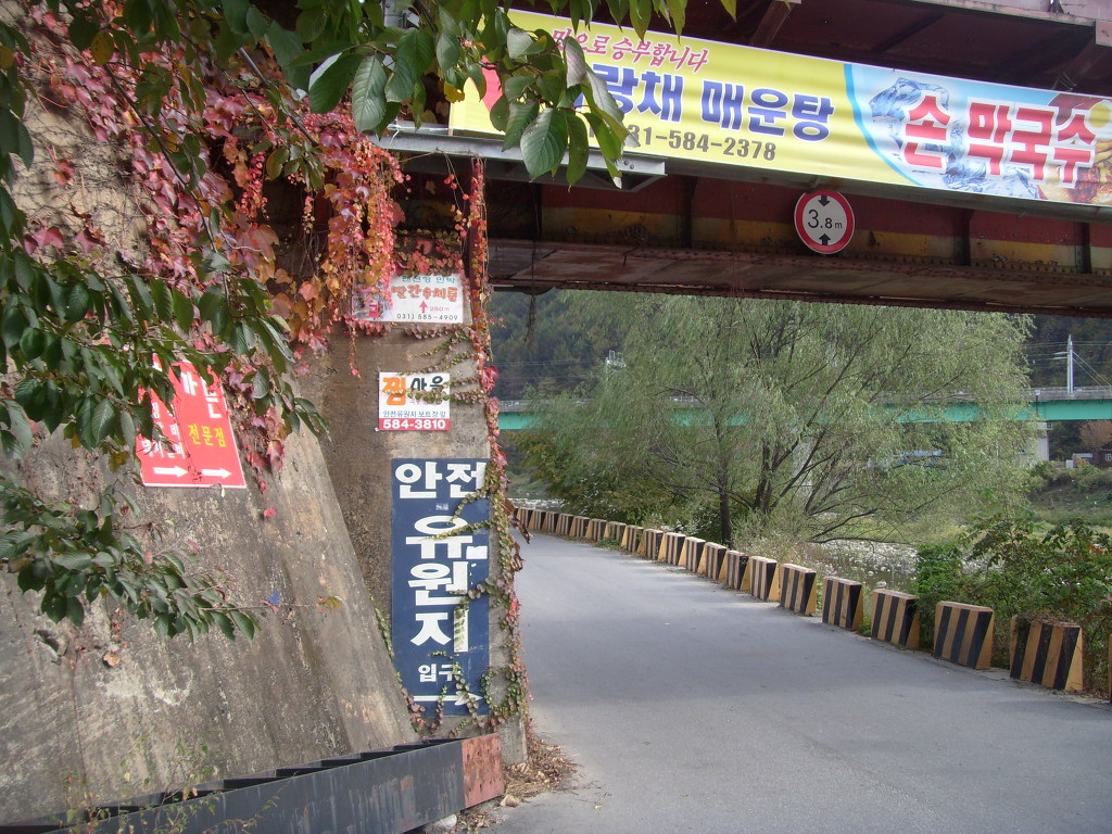 교량 하부 도로, 붉은 담쟁이덩굴, 한국어 간판, 강변 풍경