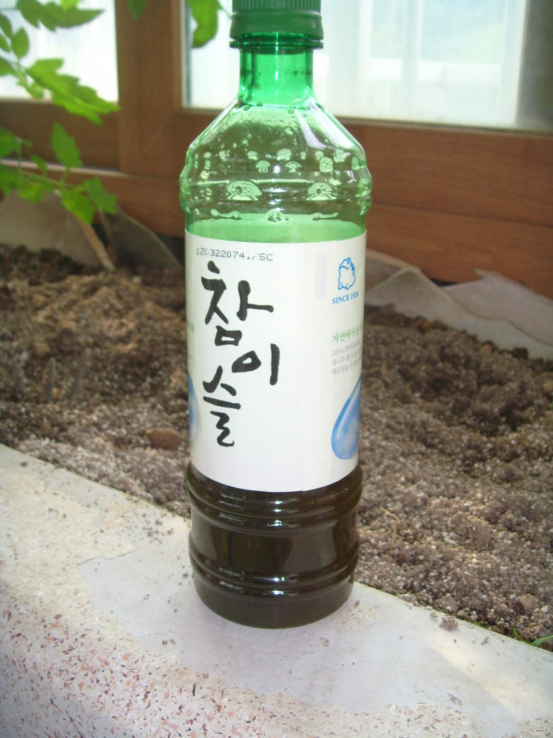 초록 플라스틱 참이슬 병, 어두운 액체 담김, 흙 배경.