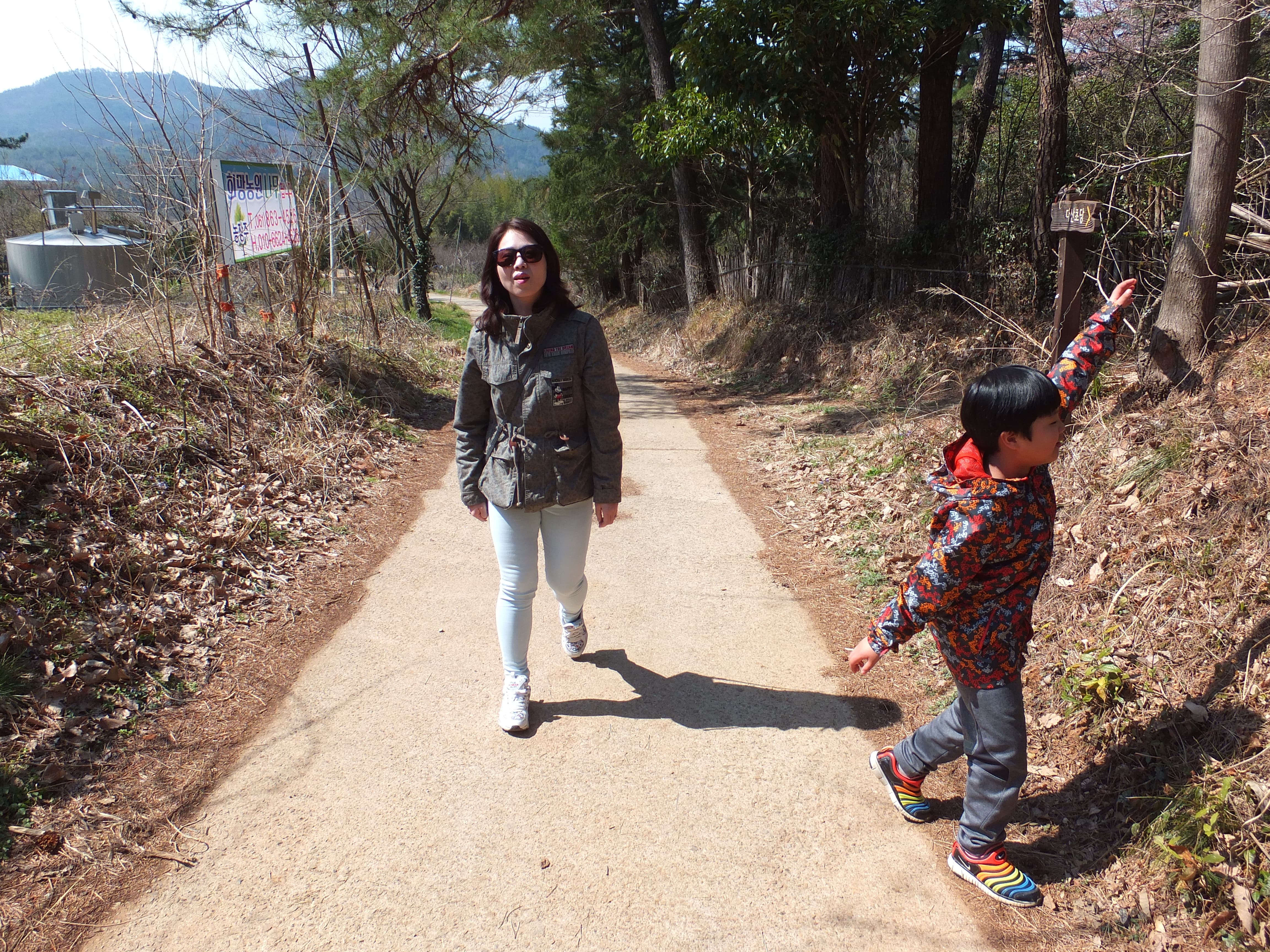 햇살 숲길 걷는 부모 아이, 아이 손 뻗으며 산 배경