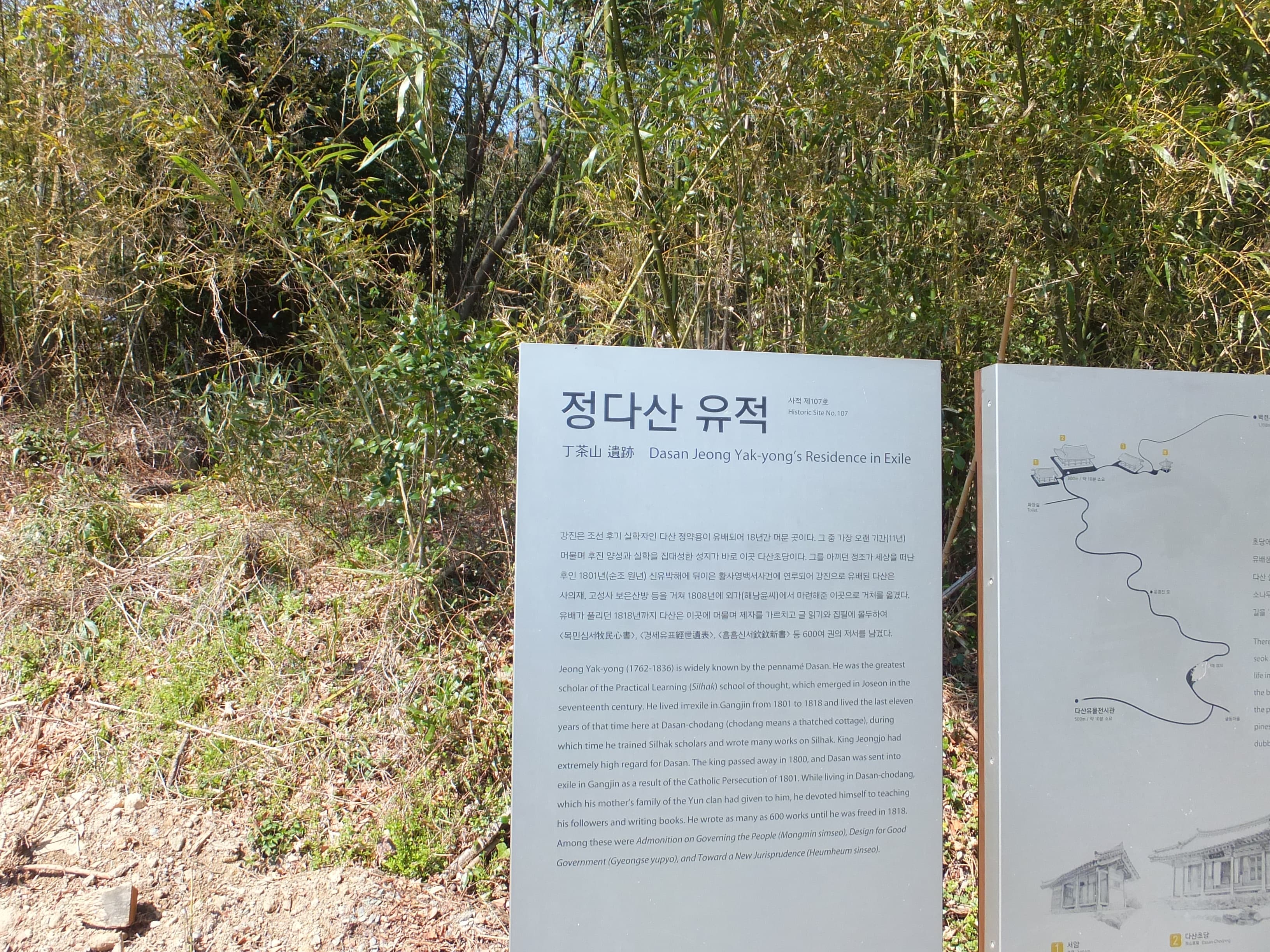 다산 정약용 유적지 안내판, 울창한 대나무 숲 배경