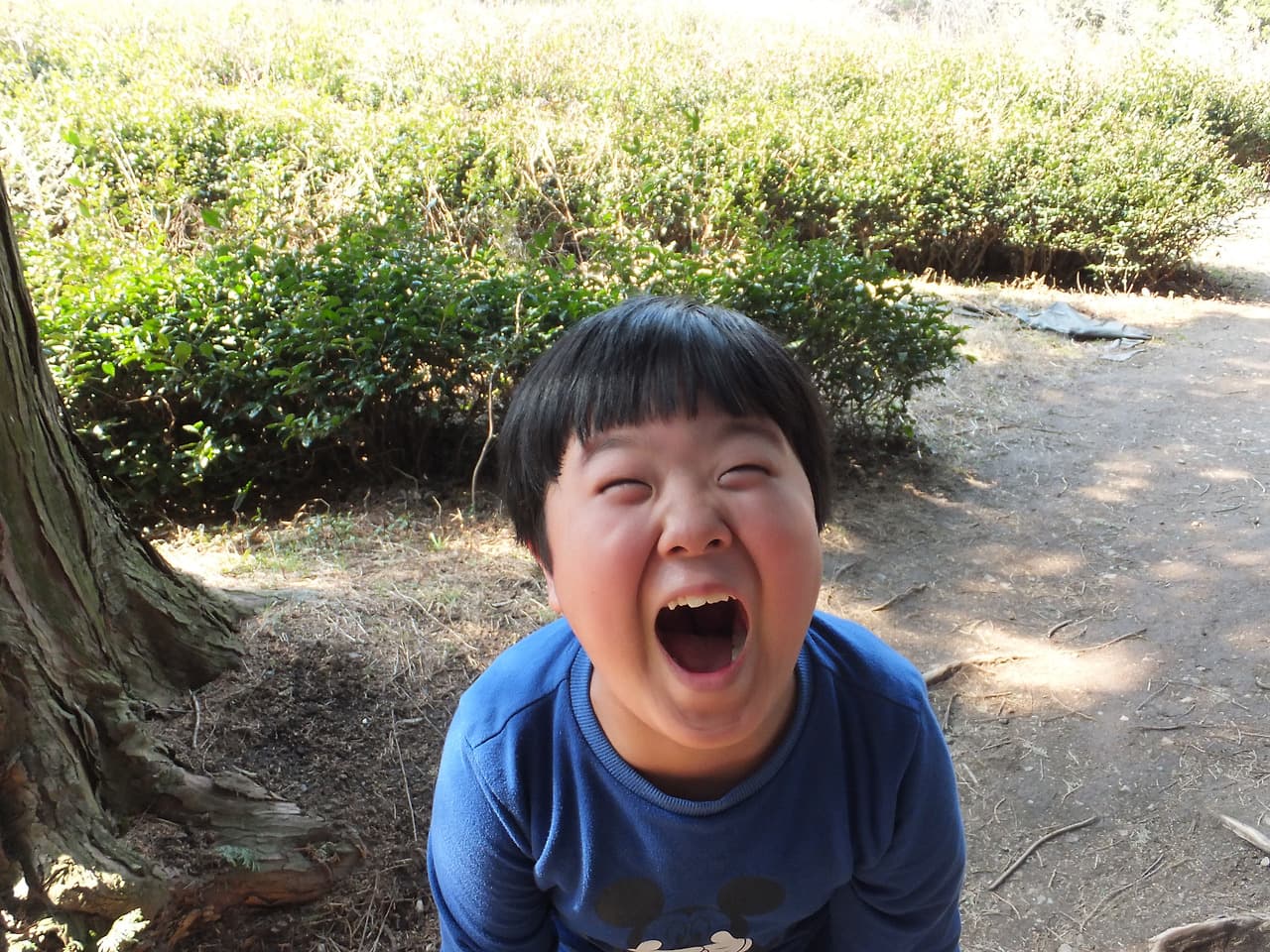 파란 셔츠 어린이 눈 감고 입 크게 벌려 즐겁게 소리 지르는