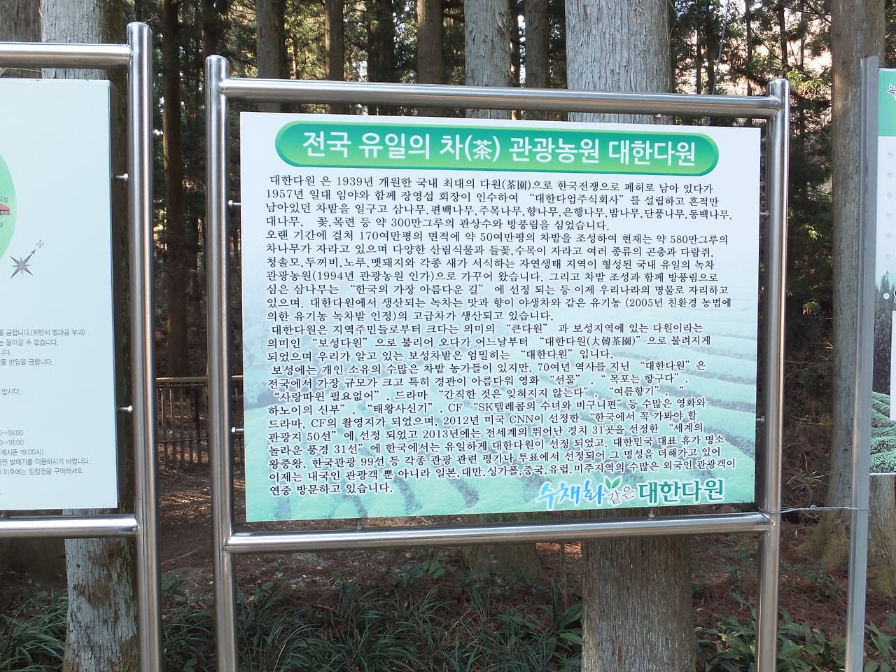 대한다원 차 관광농원 안내판, 푸른 숲 배경