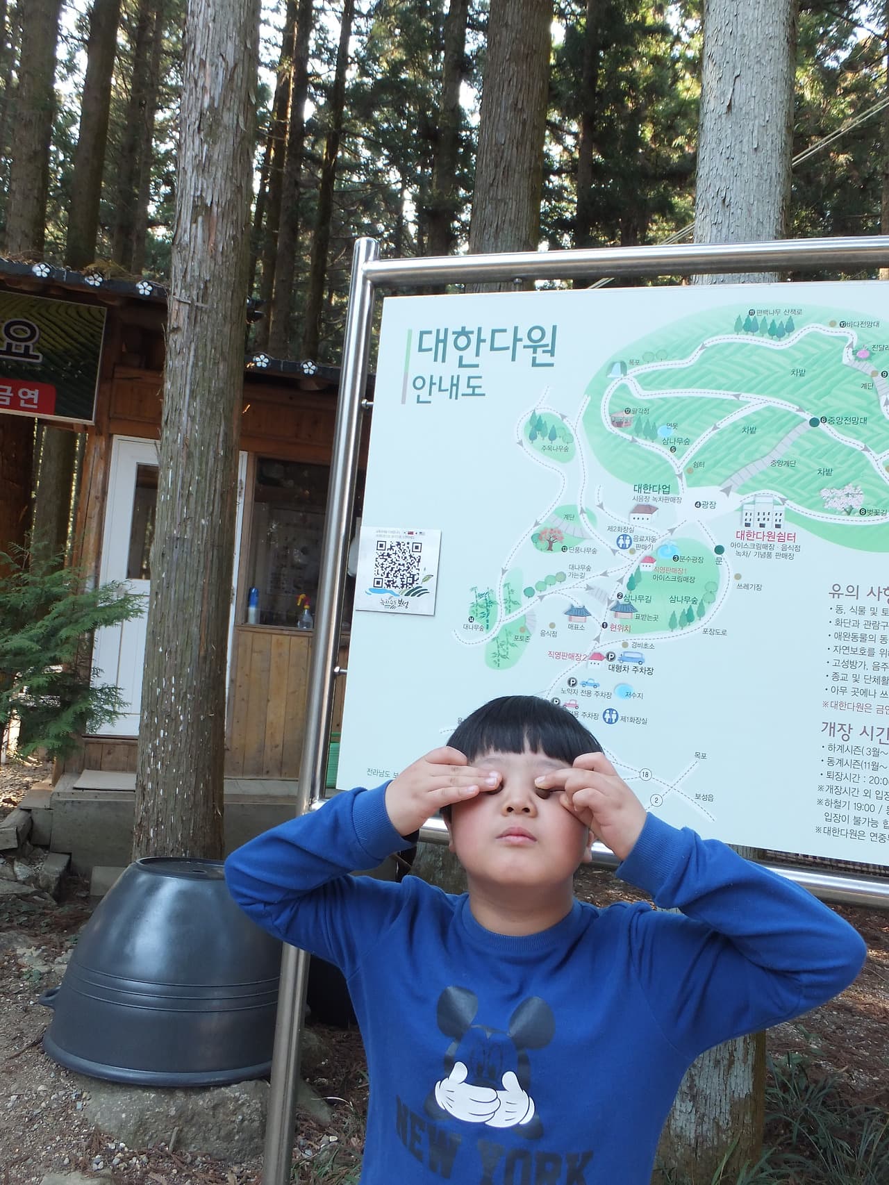 꼬마 파란 스웨터 입고 눈 가리는 중, 공원 안내도와 침엽수림 배경.