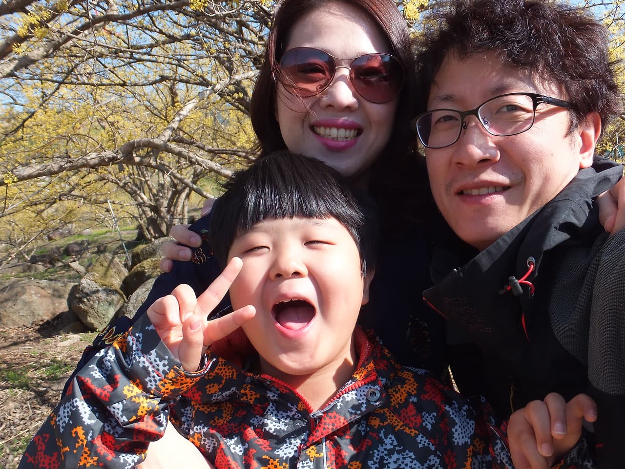 미소 짓는 부모, 브이 포즈 아이, 노란 봄꽃 배경