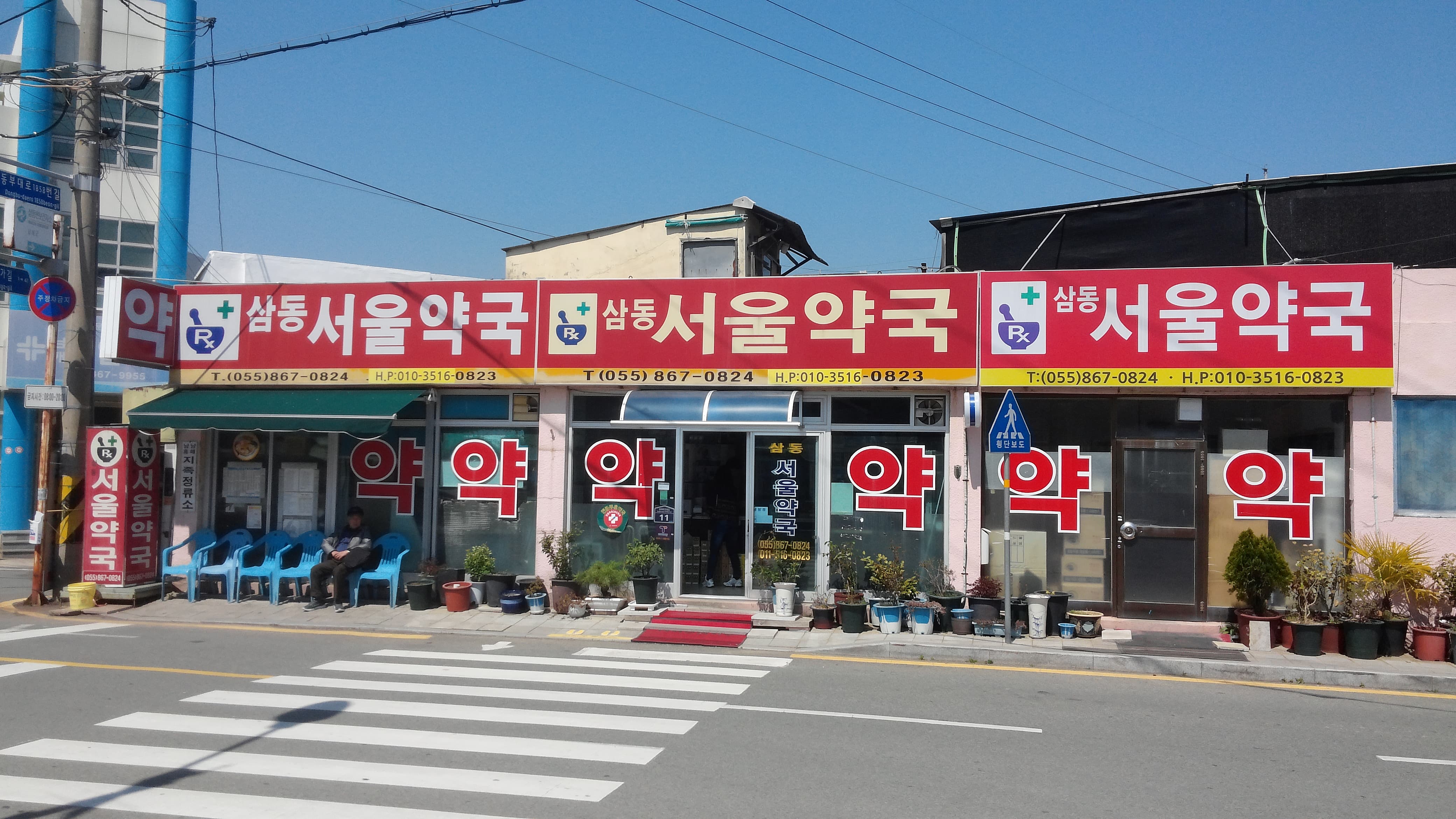 남도 봄꽃로드 여행기|남해 벚꽃 드라이브와 이순신의 발자취, 그리고 멸치쌈밥 11