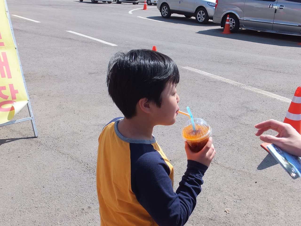 남도 봄꽃로드 여행기|사천 선진리성 벚꽃 만개, 여행의 마지막 코스 14