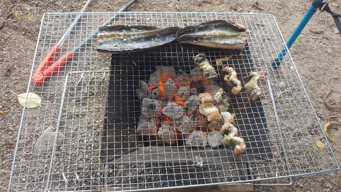 캠핑 숯불 석쇠 위 장어 몸통, 꼬리 구이