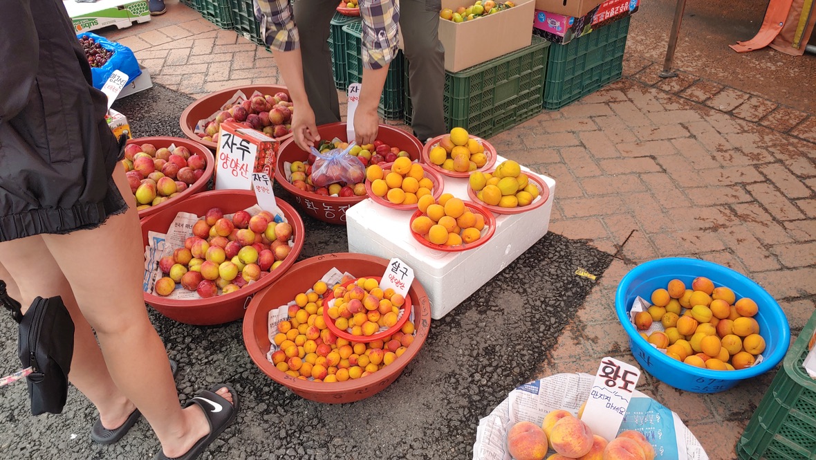 야외 시장 가판대, 자두, 살구, 황도 신선한 과일 판매.