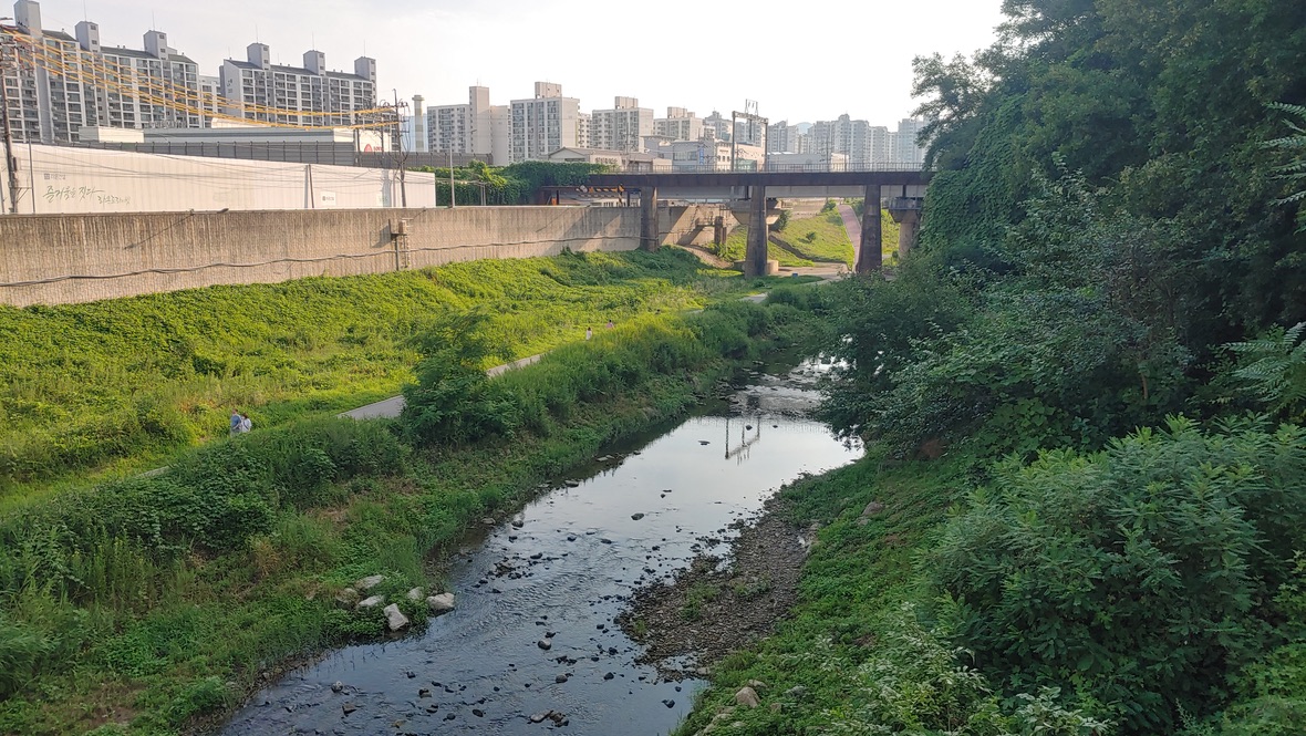 도심 속 흐르는 개울, 푸른 풀밭, 콘크리트 다리, 아파트 건물
